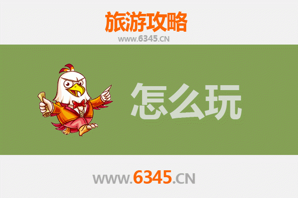 节假日大庆龙凤湿地深度游攻略：探秘北国水乡的生态魅力